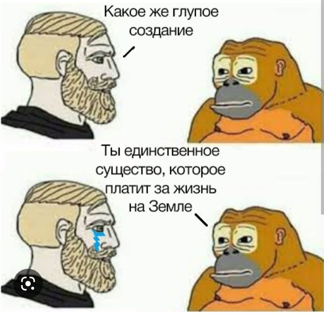 Тупая обезьяна
