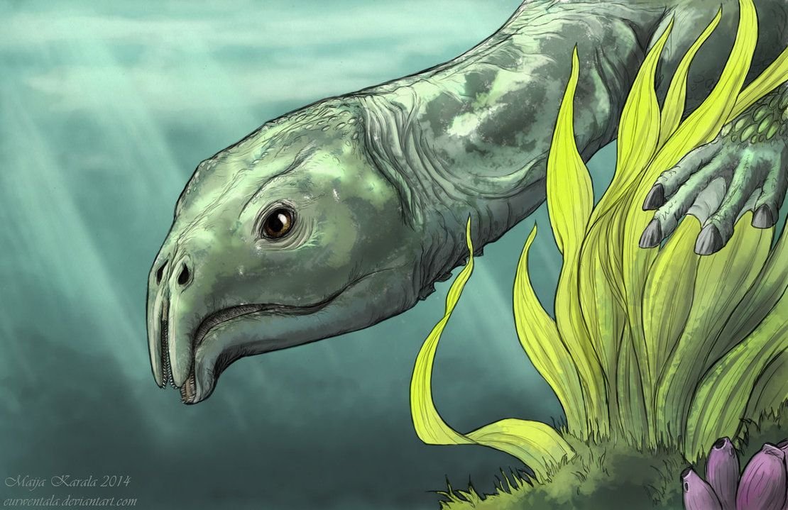 Atopodentatus Unicus