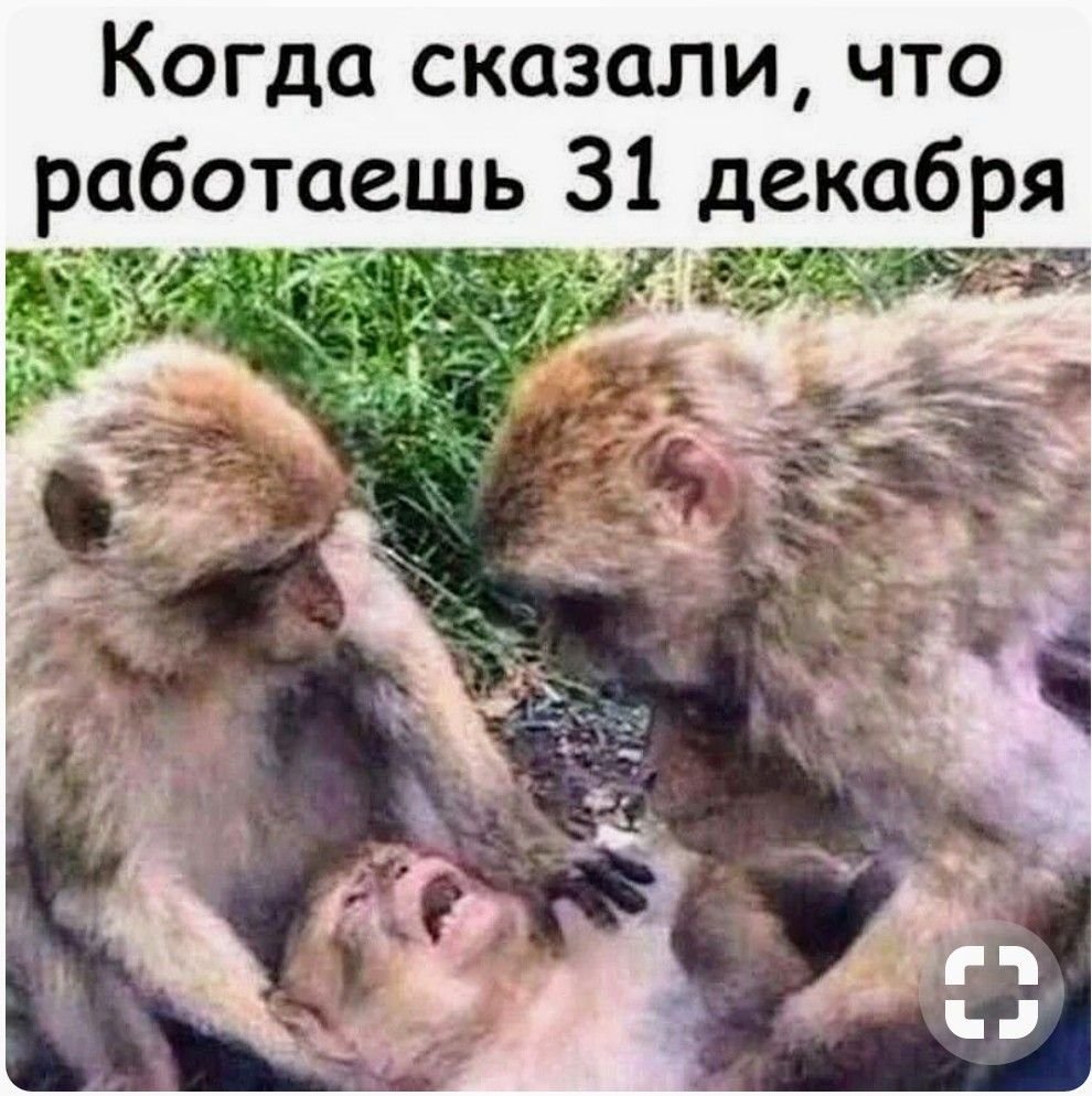 Обезьяны дайте мне спокойно