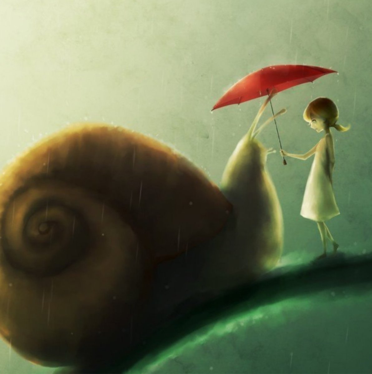 Улитки любовь