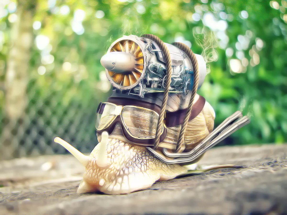 Боевая улитка