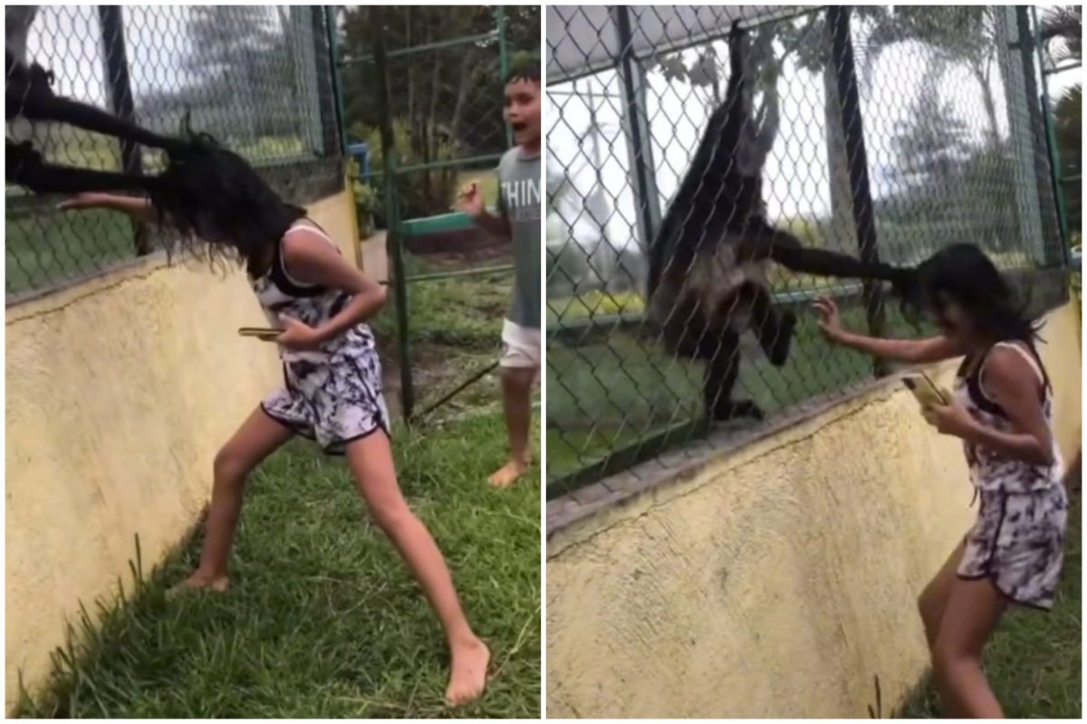 Девушка и обезьяна