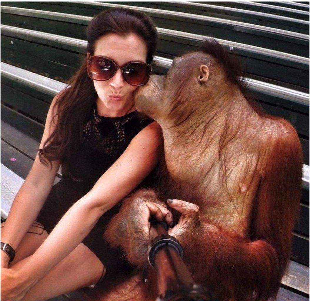 Обезьяна и красивая девушка