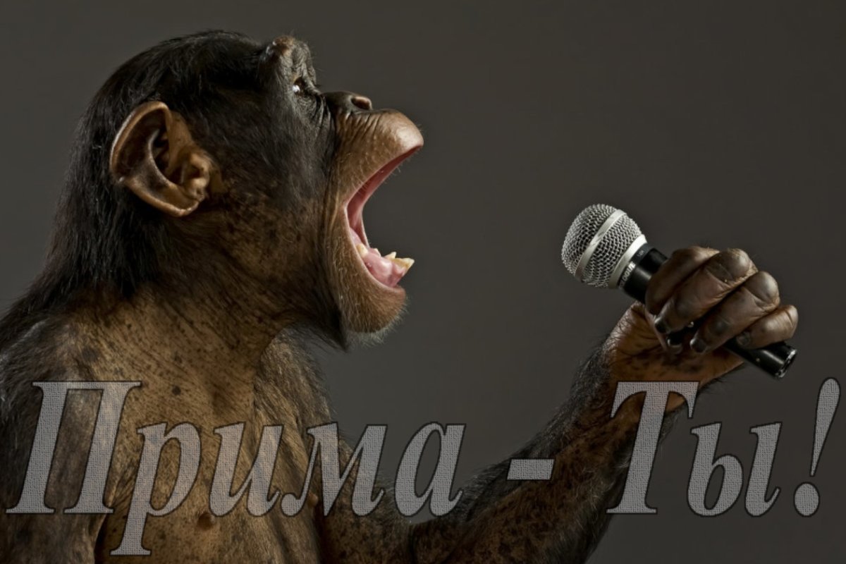 Обезьяна орет