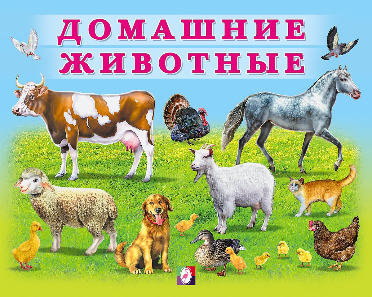 Домашних животных для детей
