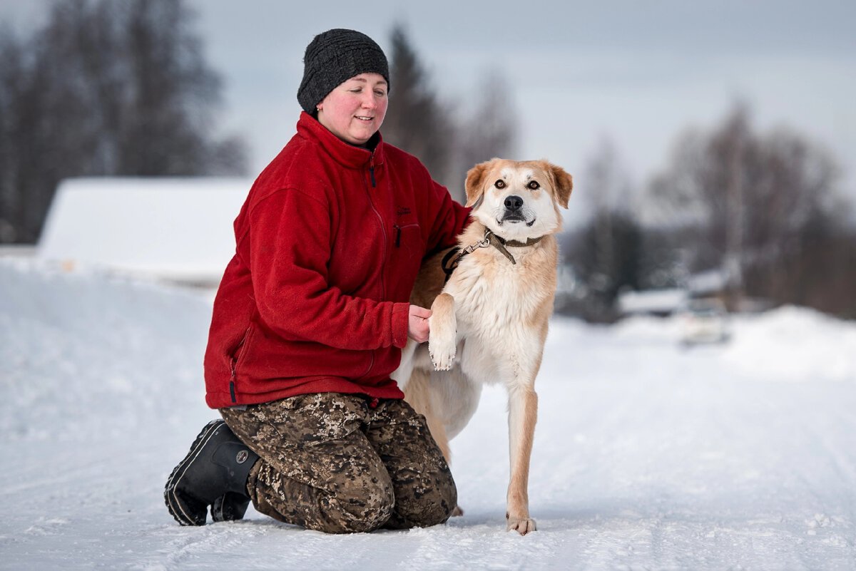Ален Делон и его собаки