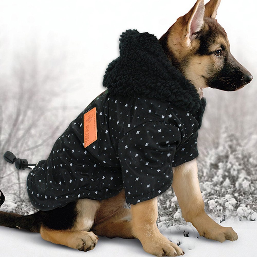 Овчарка в костюме