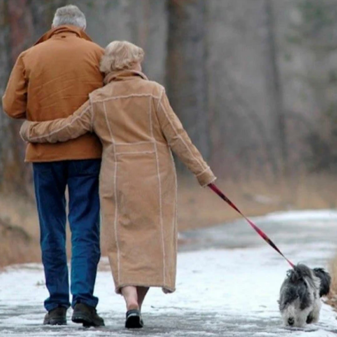 Прогулка с собакой