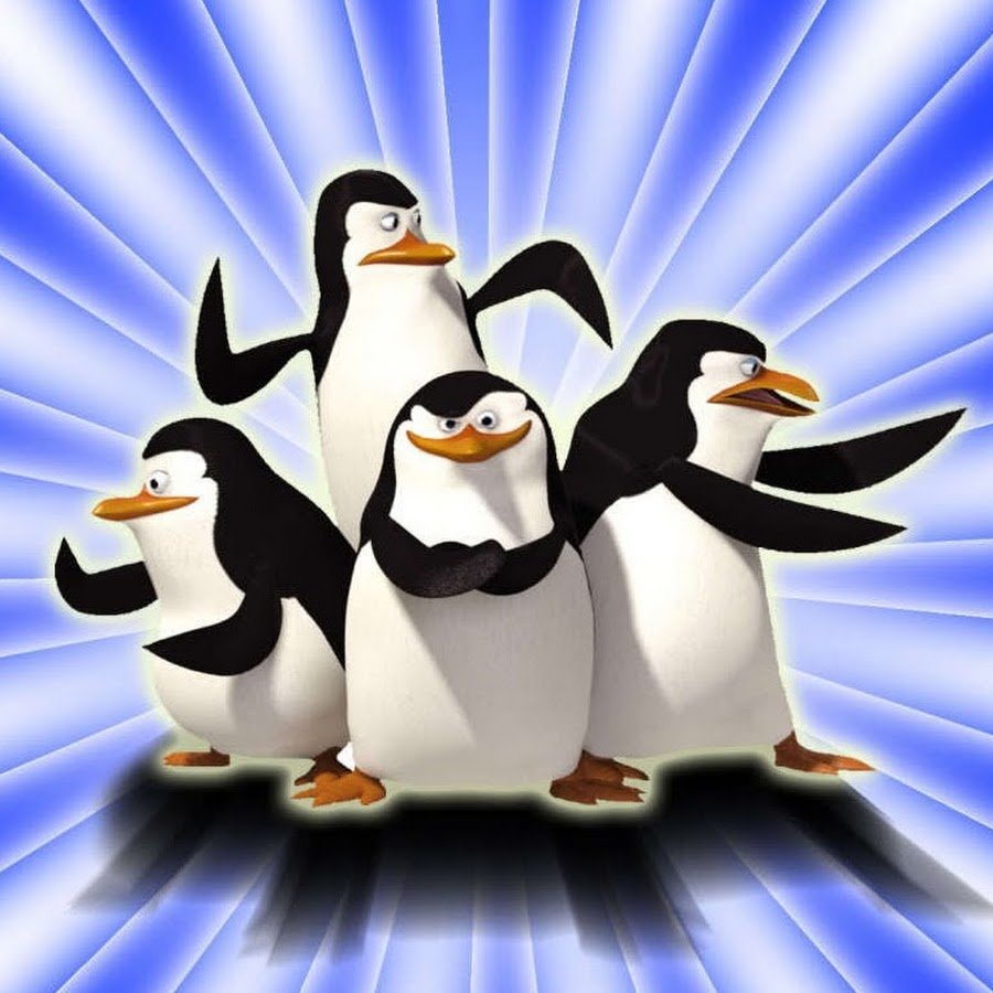 Брамар пингвины Мадагаскара