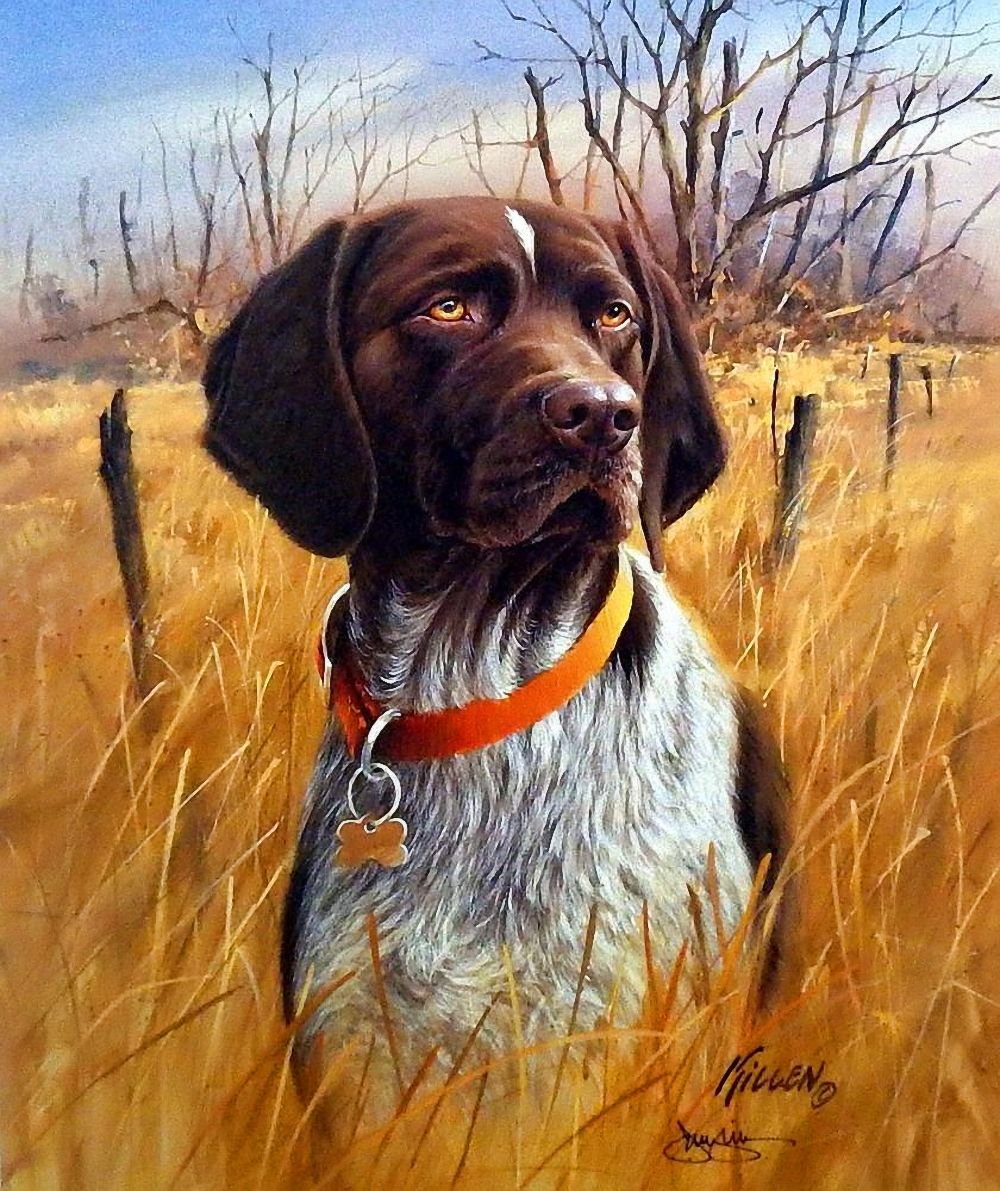 Джим Киллен художник