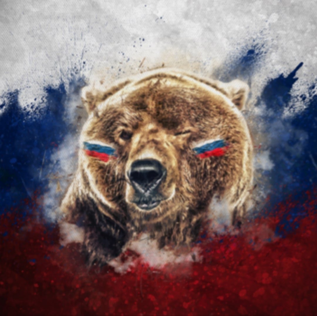 Медведь Россия