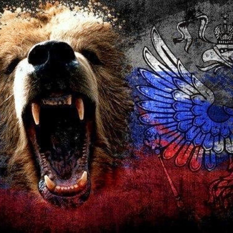 Медведь на фоне флага