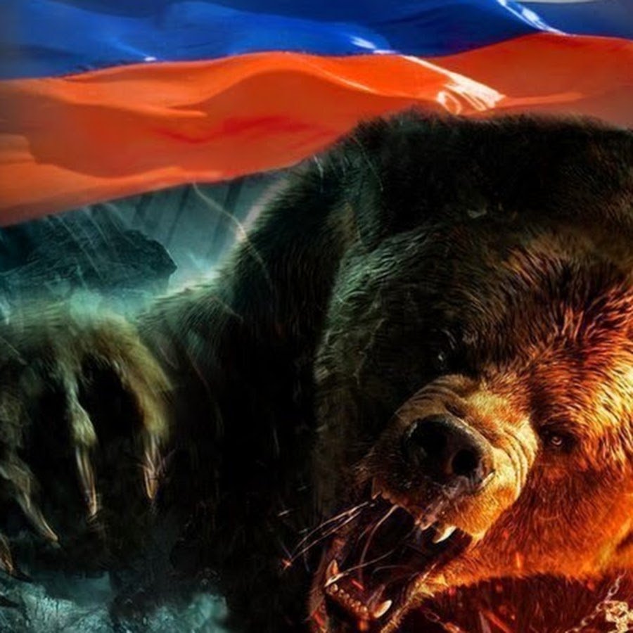 Разъяренный медведь