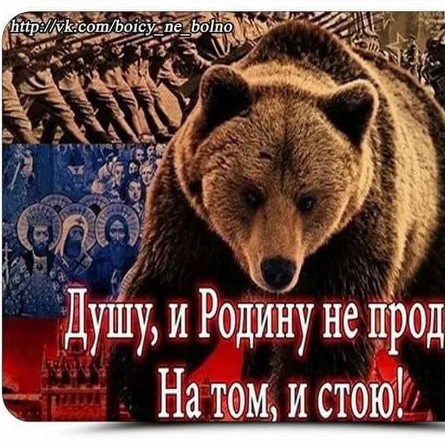Медведь Россия
