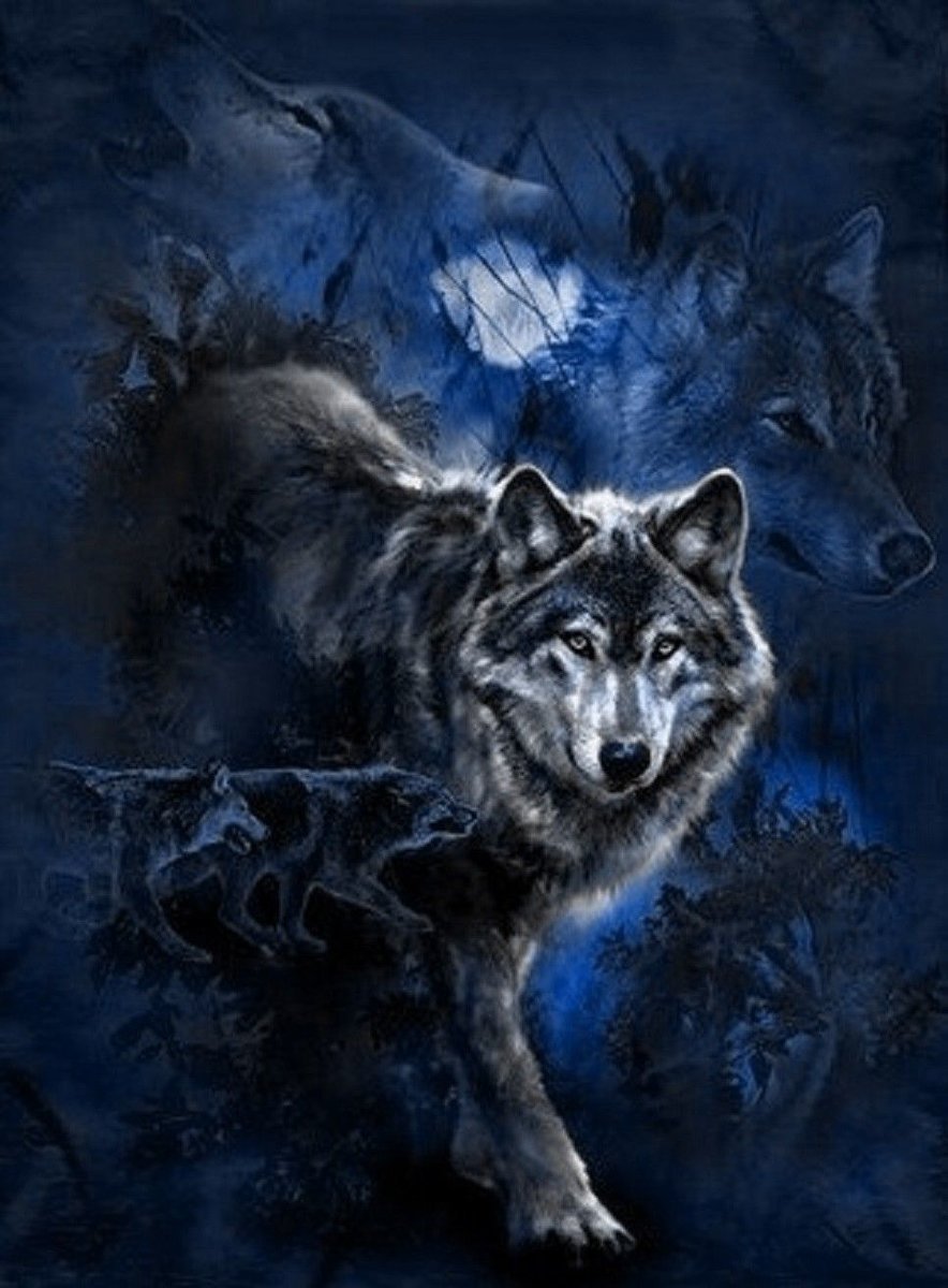 Волк картинки на телефон