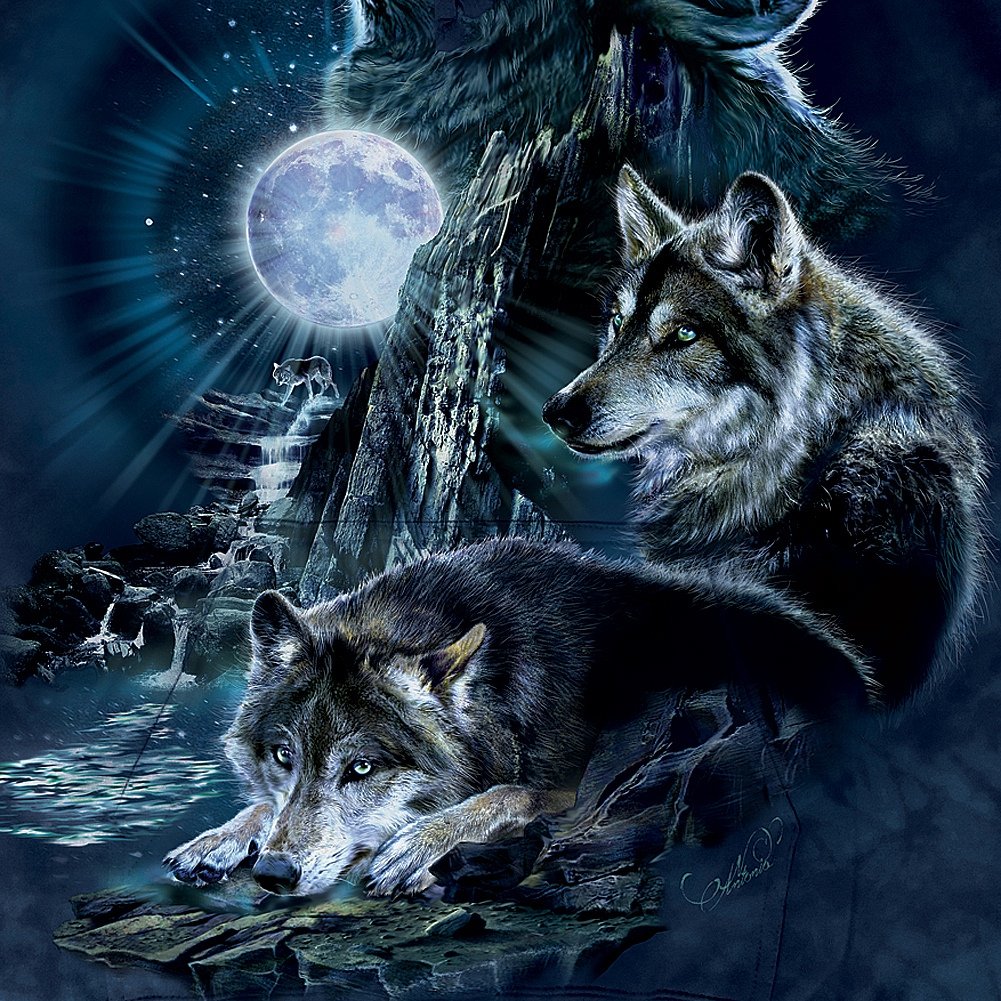 Красивый волк