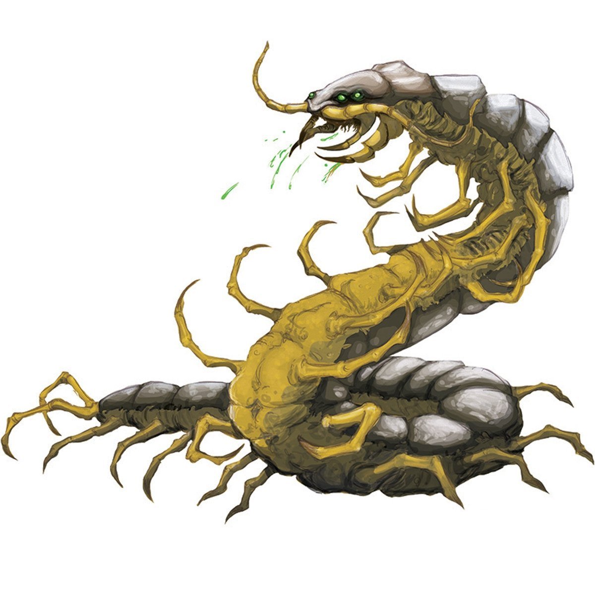 Гигантская сколопендра ДНД