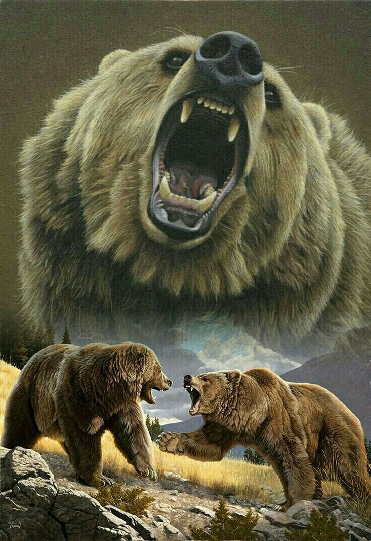 Свирепый медведь Гризли