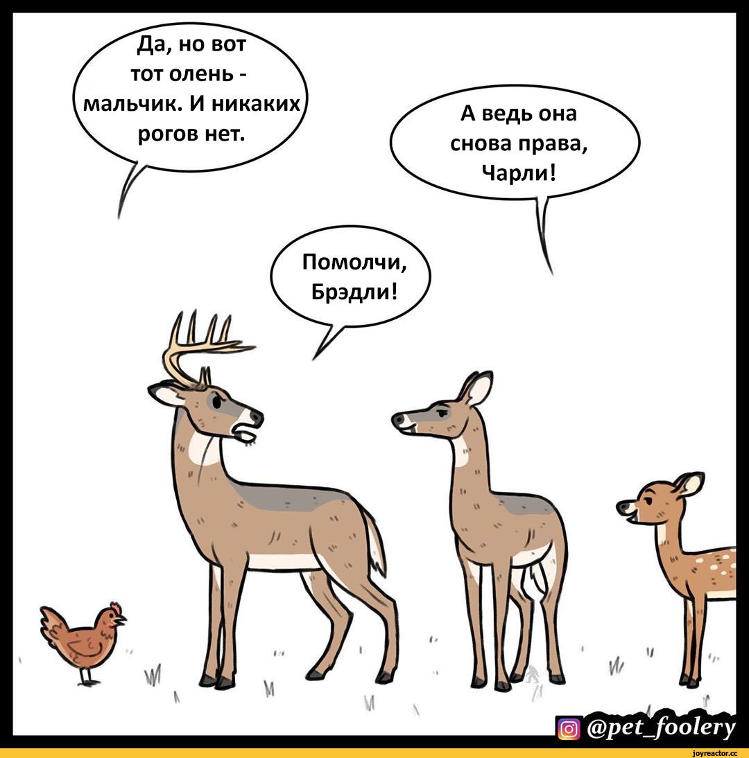 Прикольный олень
