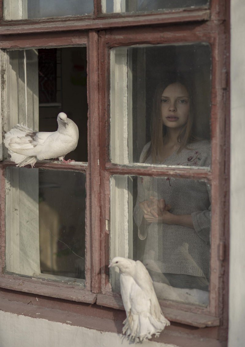 Заглядывает в окно