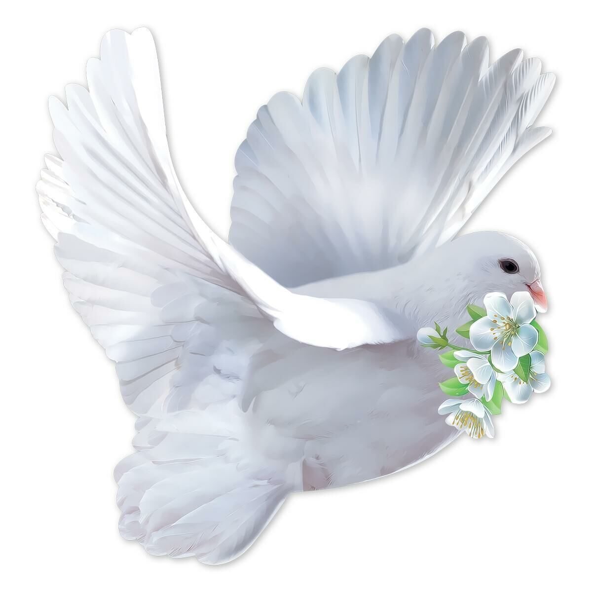 Голубь с веточкой
