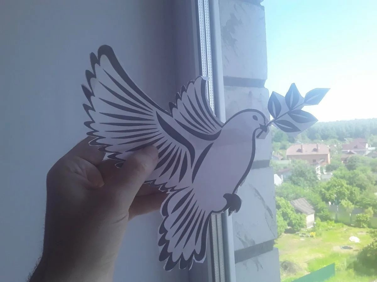 Голуби на стекло