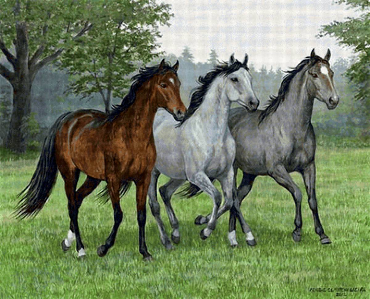 Лошади Ravensburger Puzzle