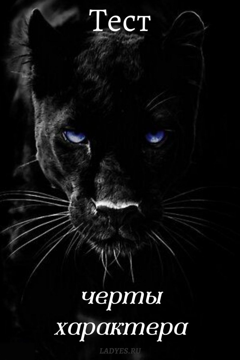 Морда пантеры на черном фоне