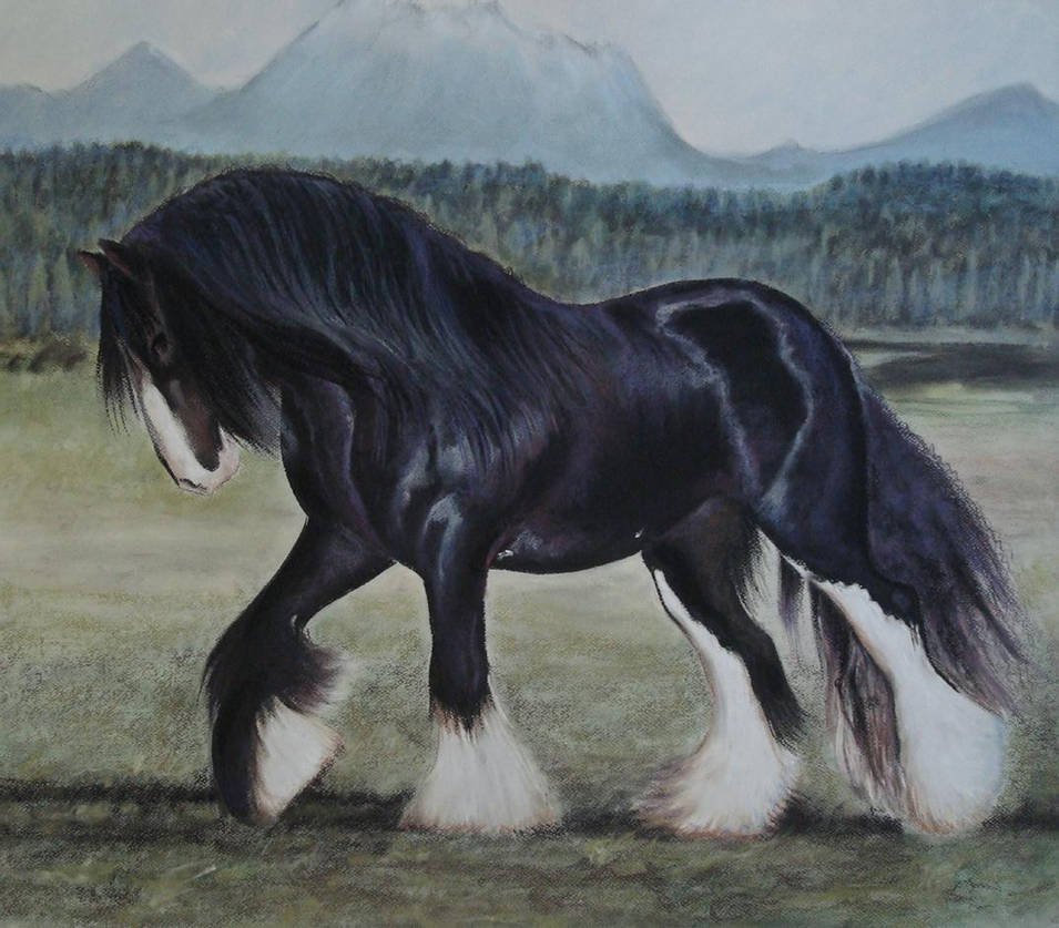 Лошадь породы цыганская упряжная