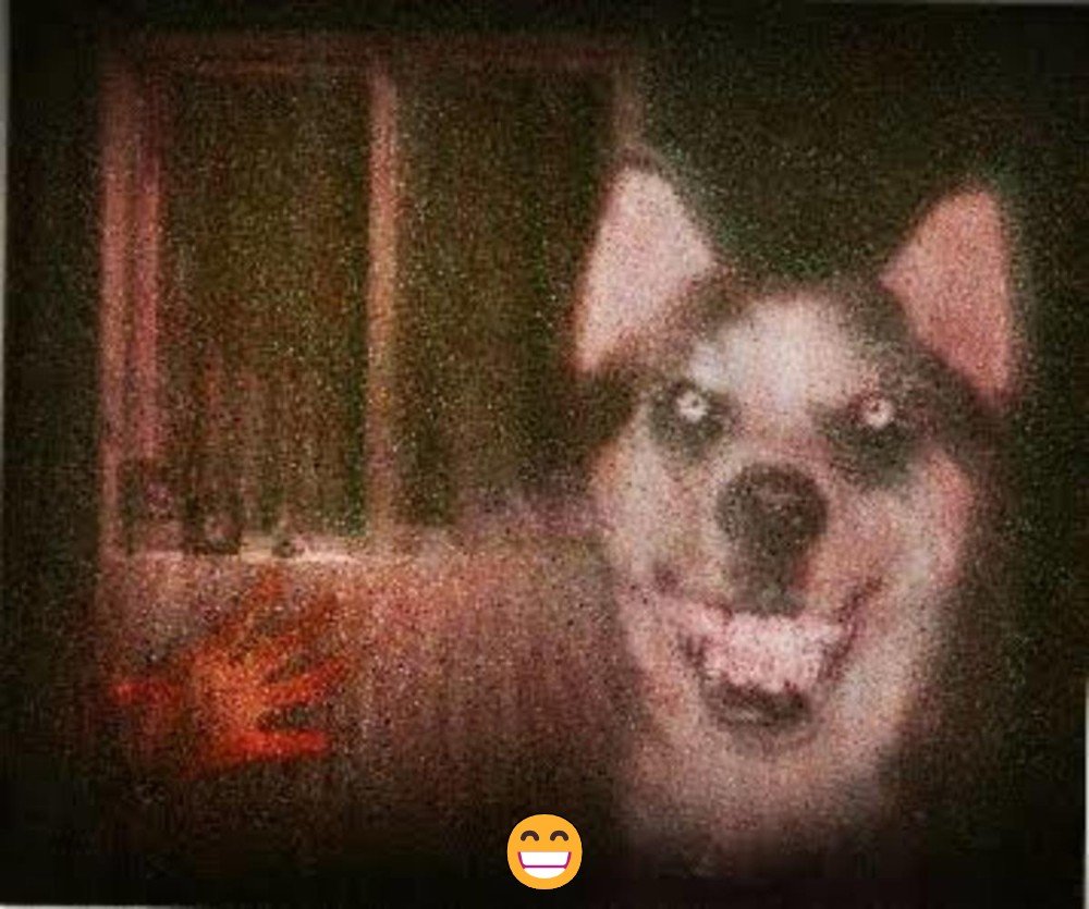 Собака улыбака крипипаста