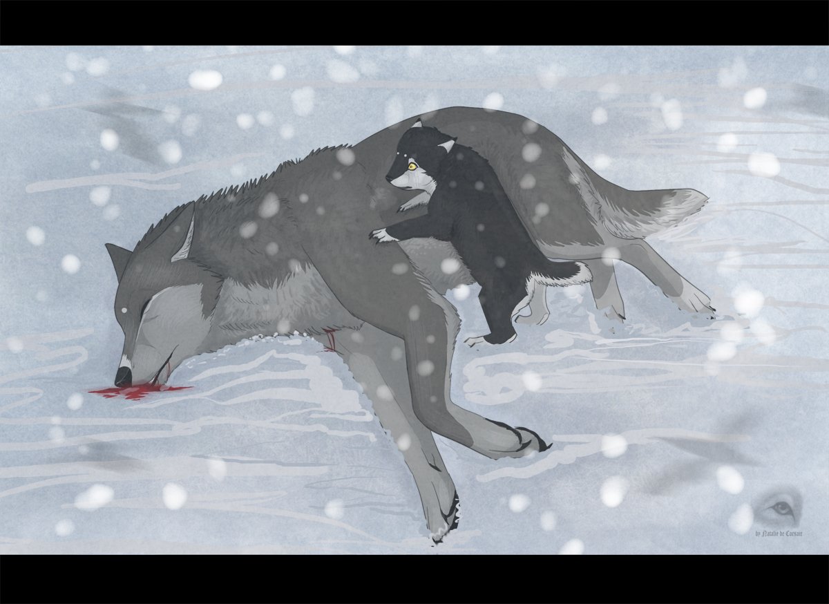 Серый волк аниме