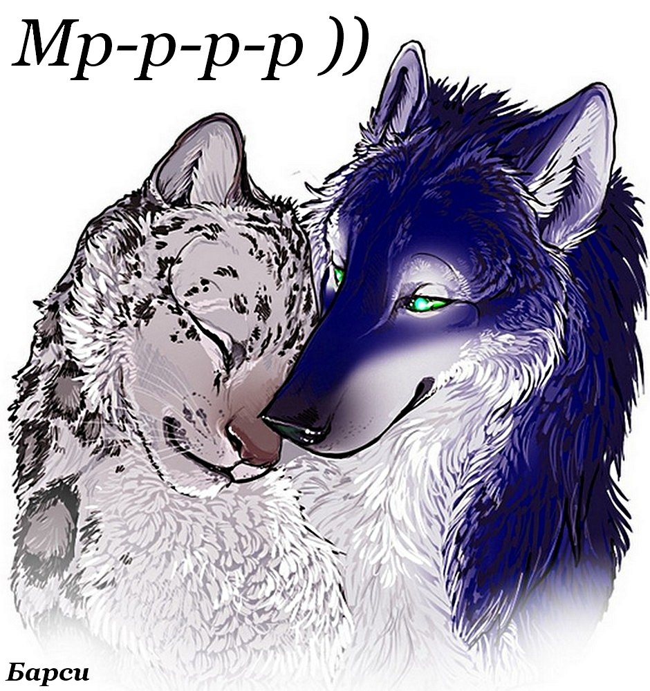 Волки обнимаются