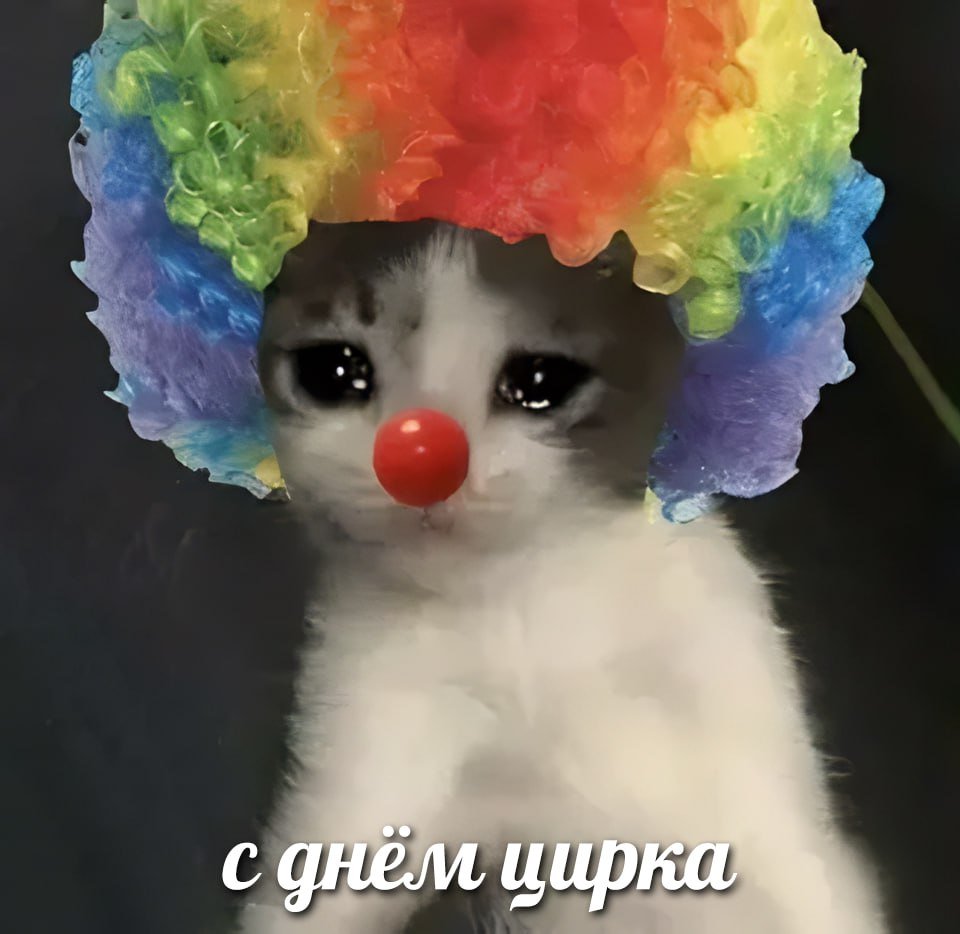 Кот клоун ава