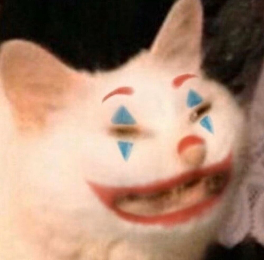 Кот с клоунским носом