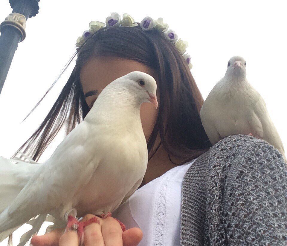 Девушка с белым голубем
