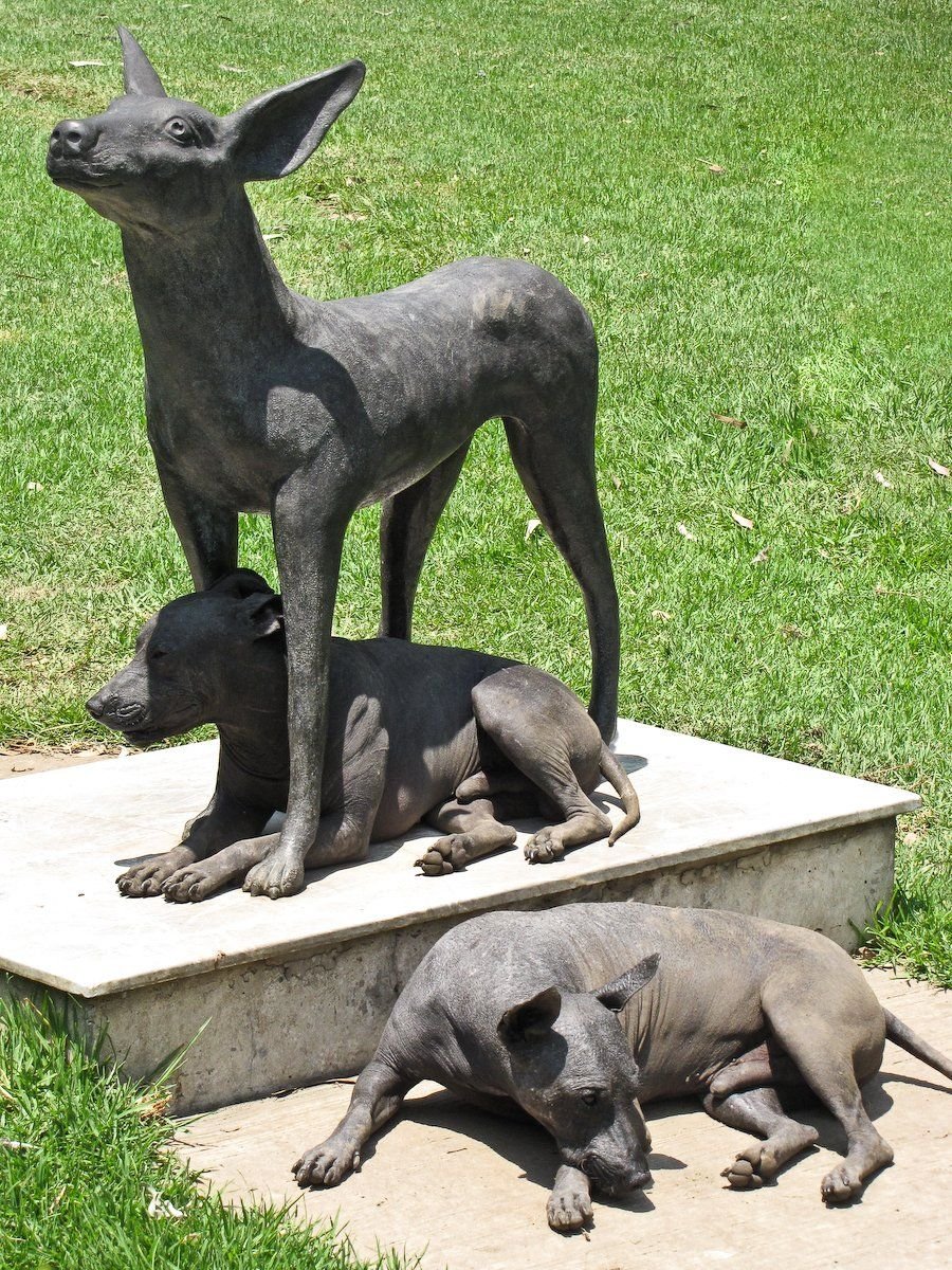 Ксолоитцкуинтли статуя