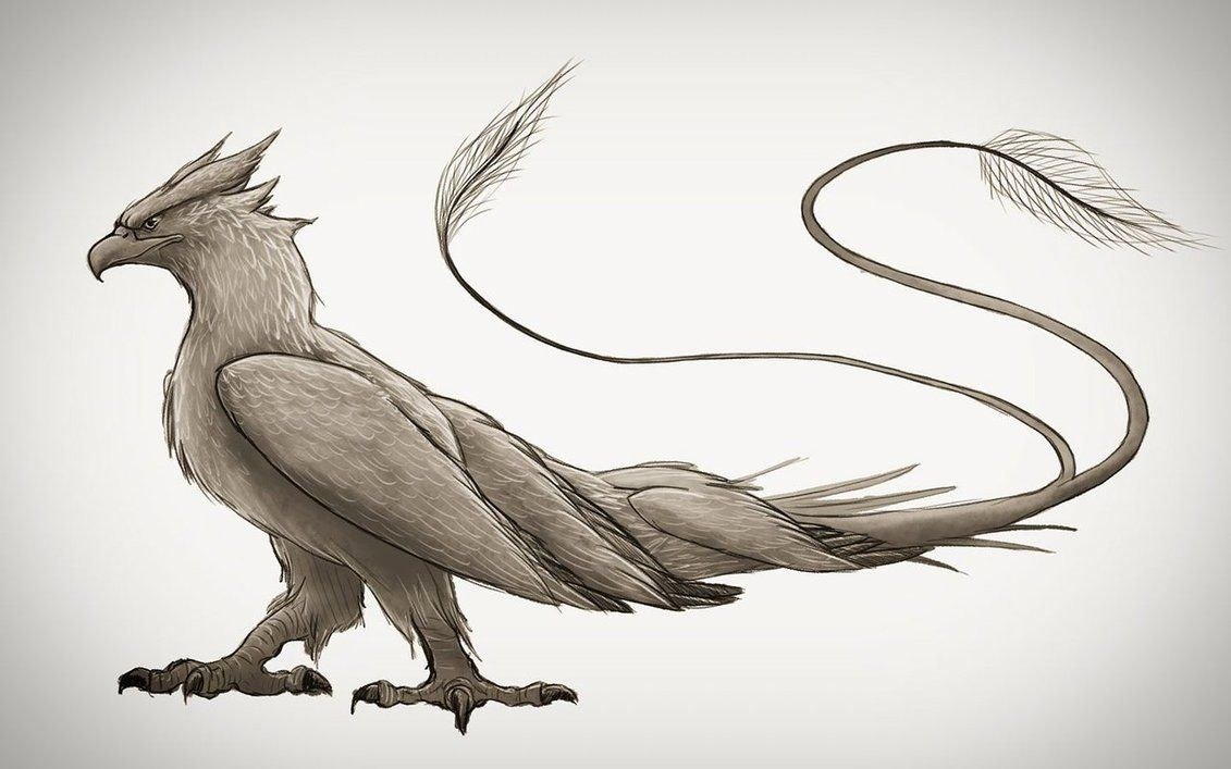 Птица Тандерберд Гарри Поттер