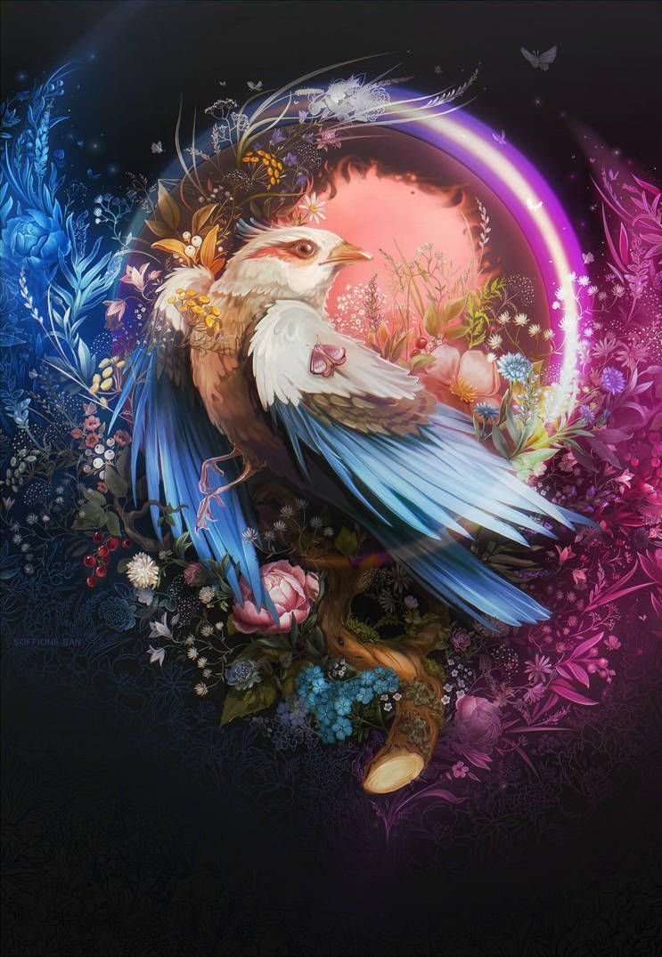 Волшебная птица