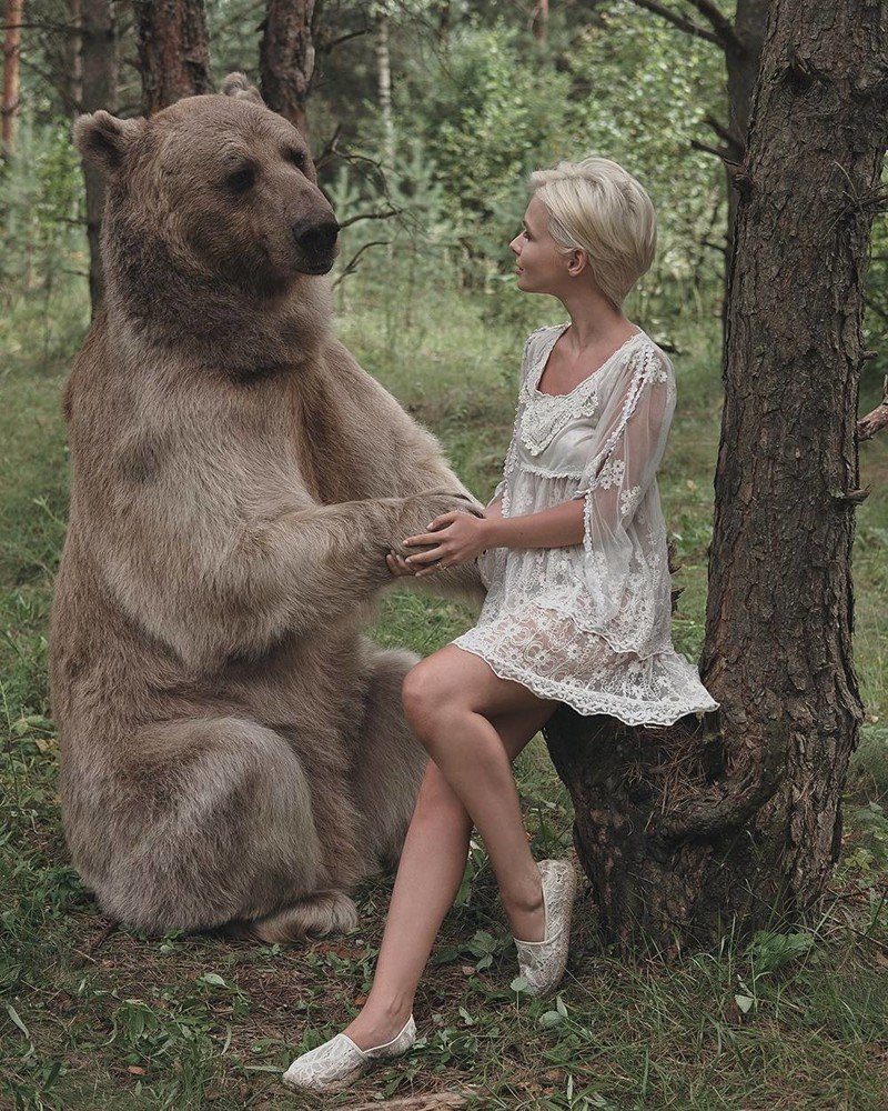 Медведь и человек