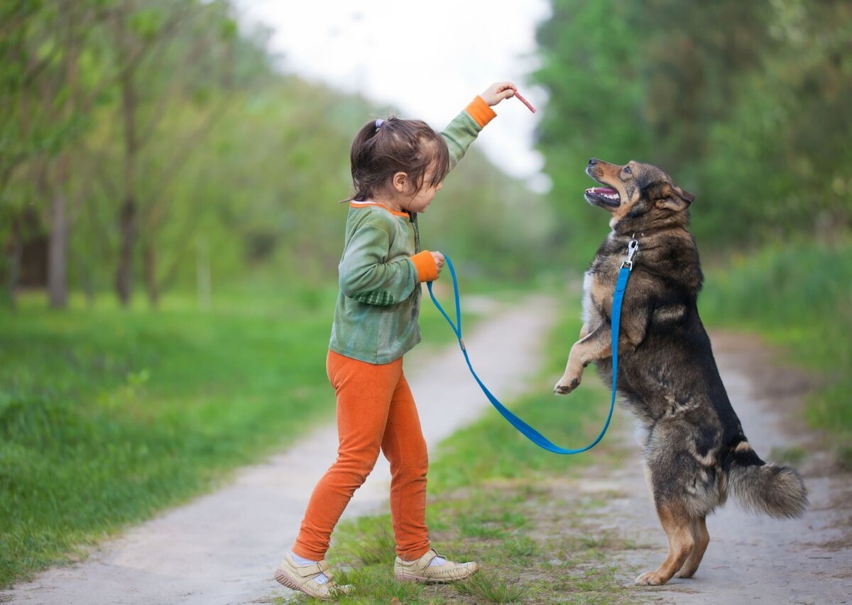 Домашние животные для детей