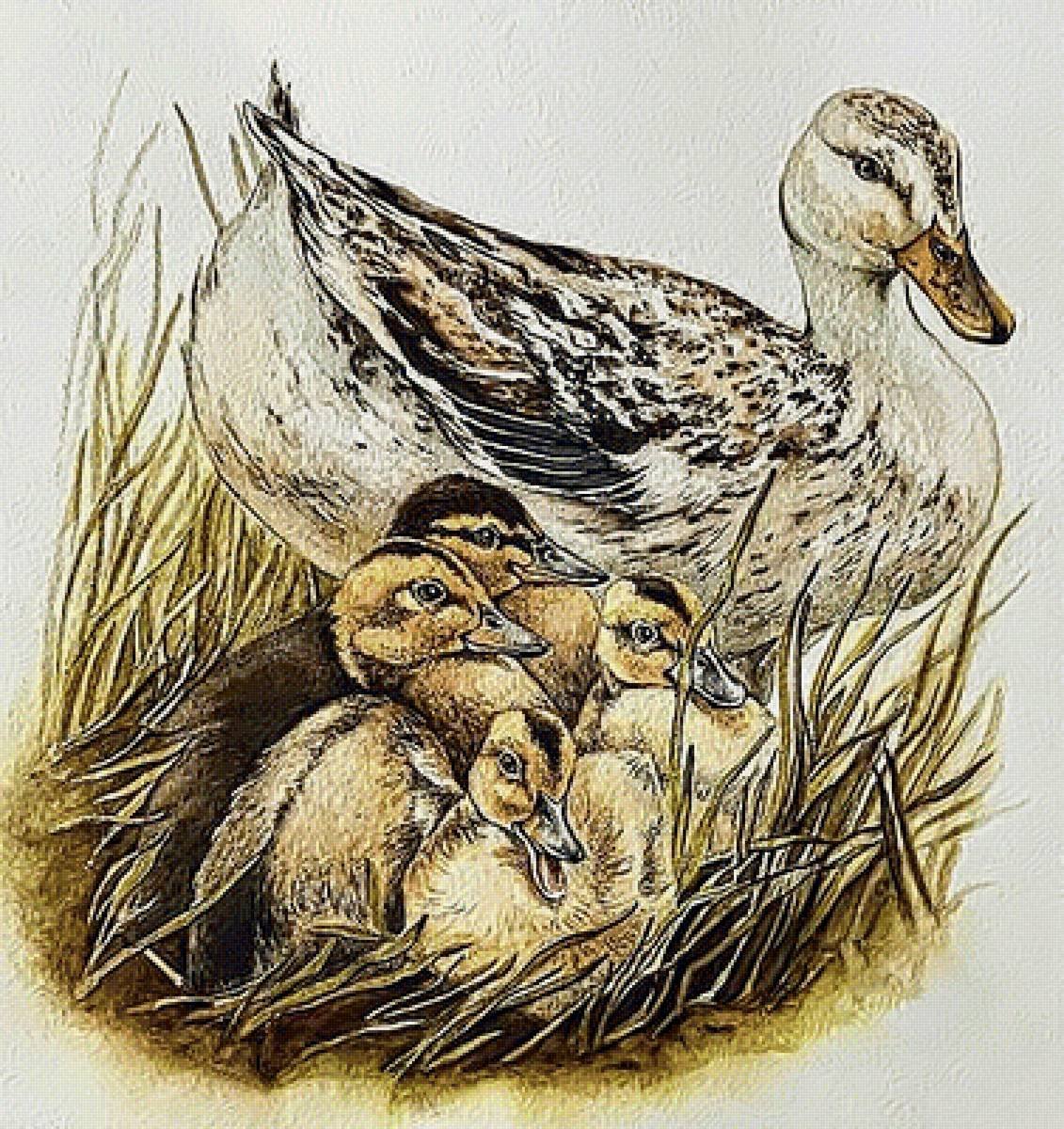 Птенцы в гнезде живопись