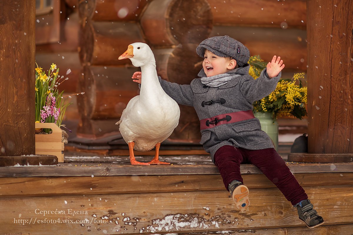 Утки в деревне