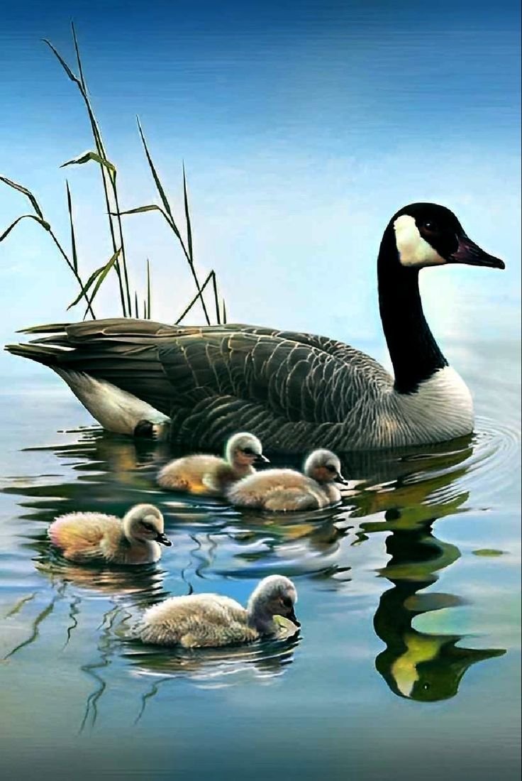 Утки рисунок маслом