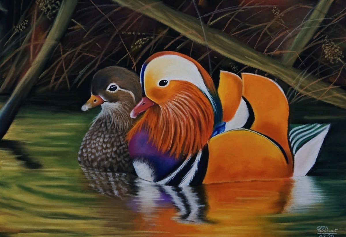 Уточки-мандаринки 2