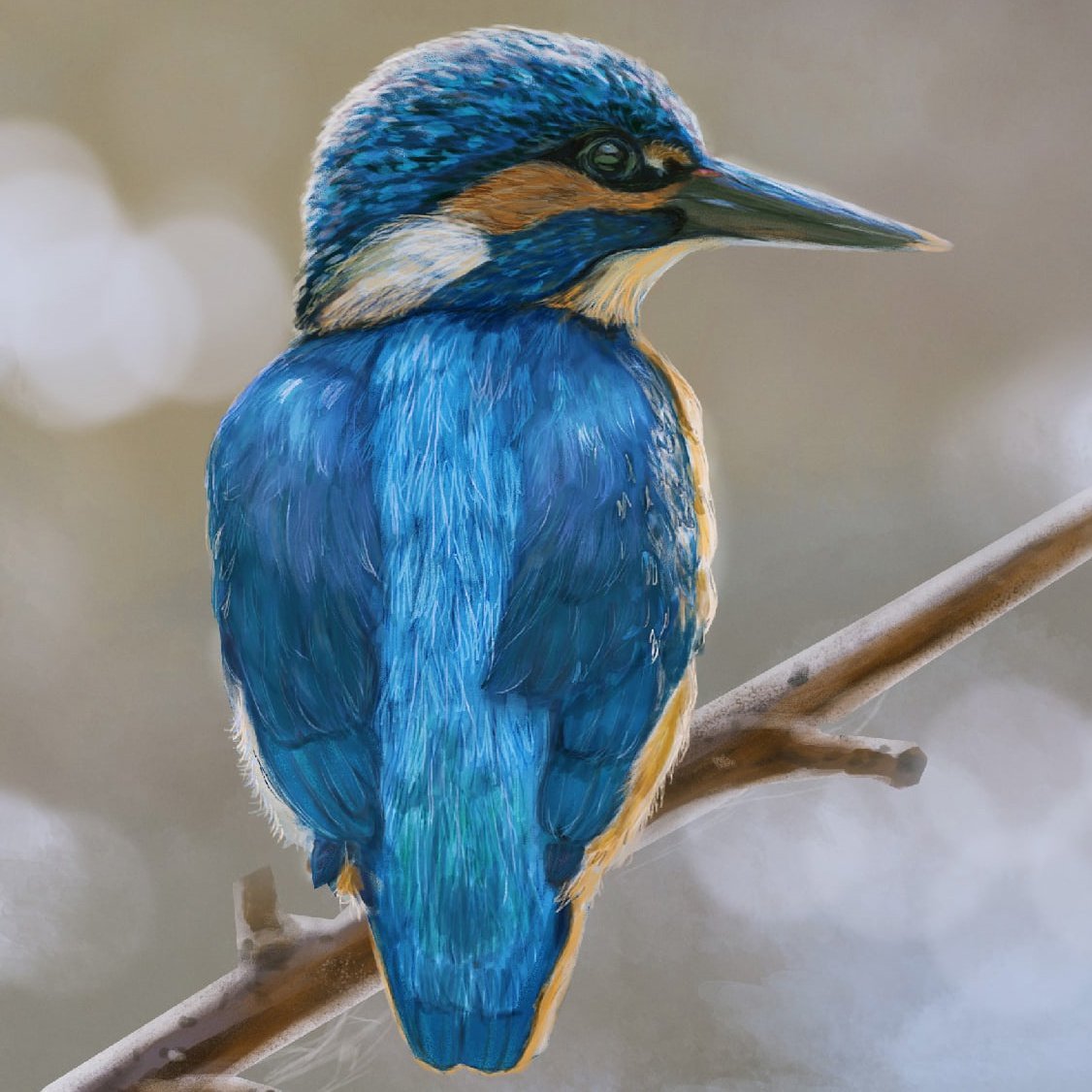 Зимородок зимой