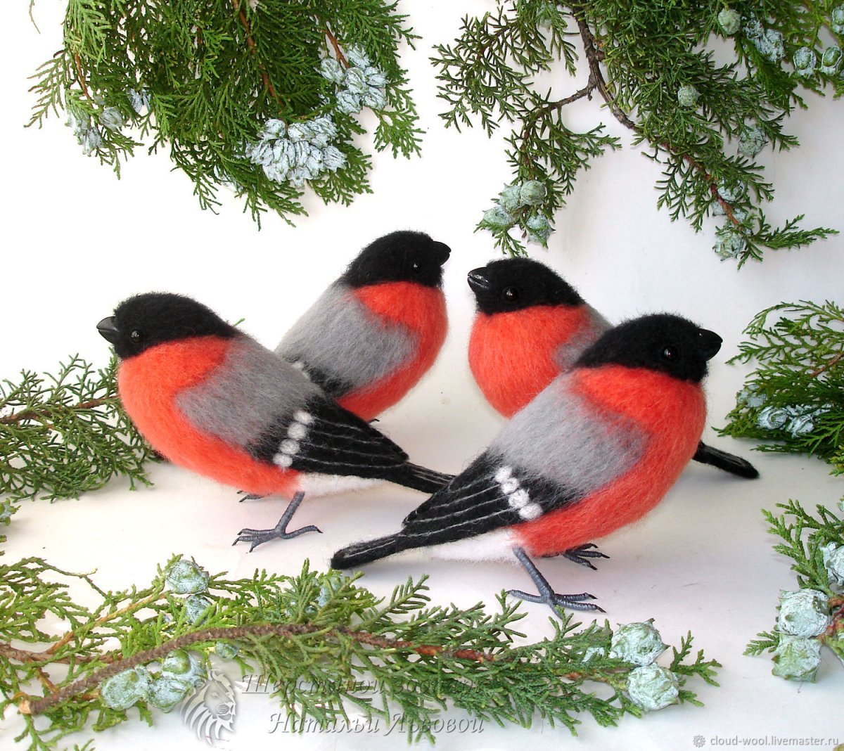 Черношапочный Снегирь