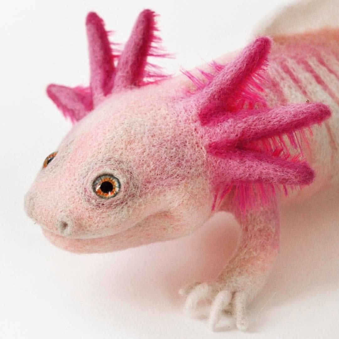 Зверь аксолотль