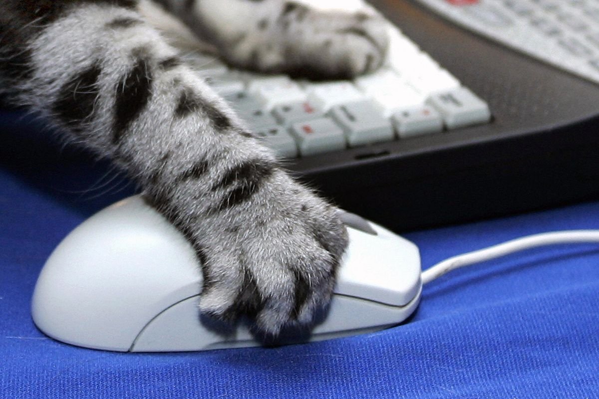 Красивые компьютерные мышки