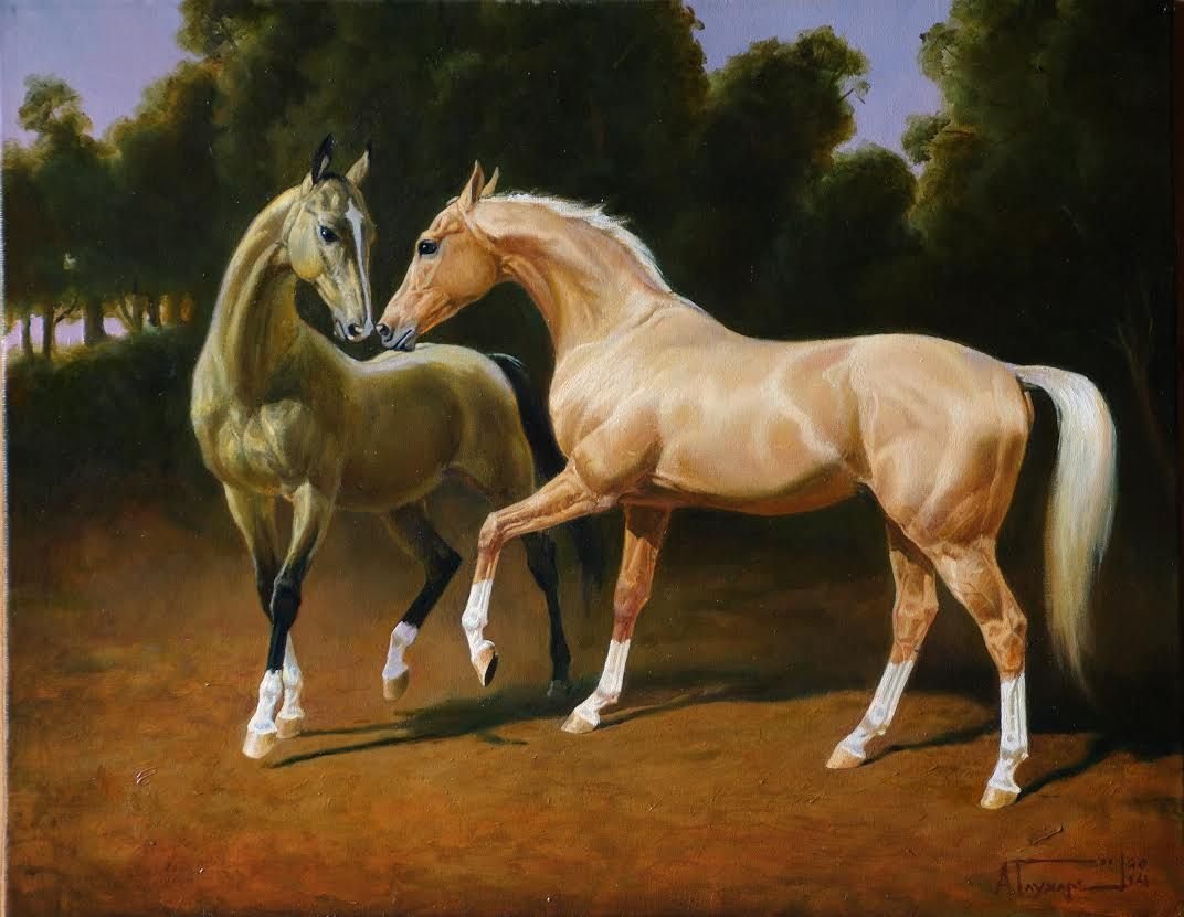 Алексей Глухарев Ахалтекинская лошадь