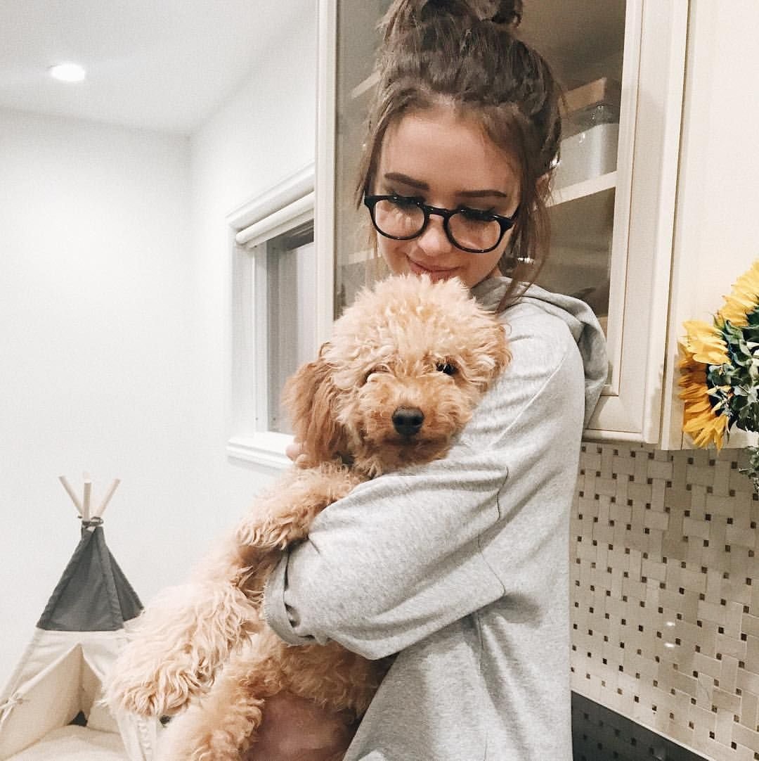 Собака из инстаграмма